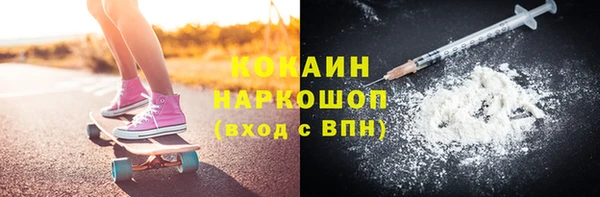 гидра Володарск