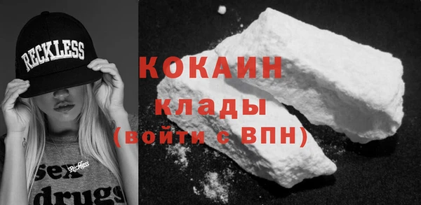 PSILOCYBIN Волосово