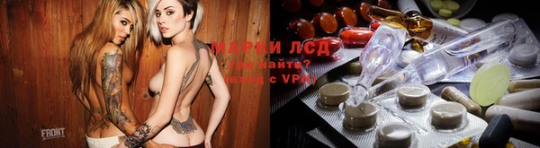 гидра Володарск