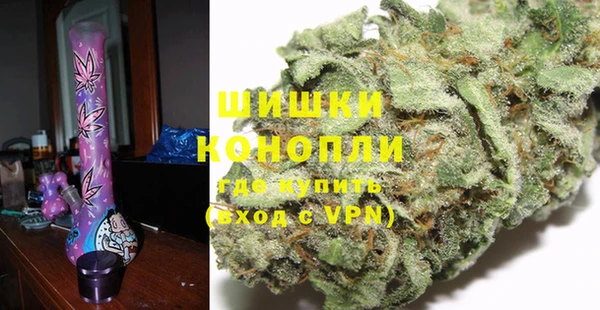 гидра Володарск