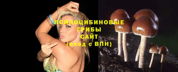стафф Волоколамск