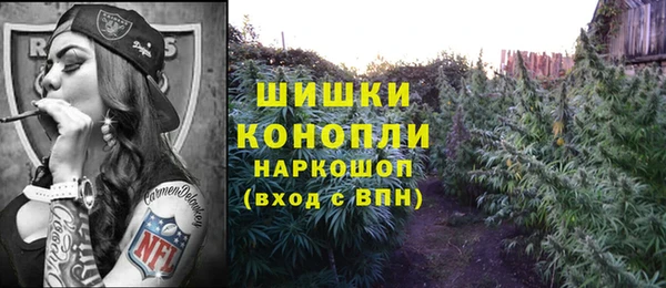 гидра Володарск
