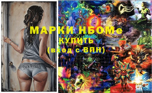 гидра Володарск