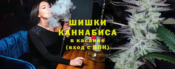 гидра Володарск