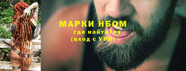 PSILOCYBIN Волосово